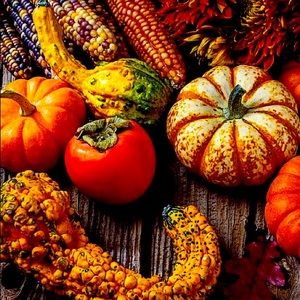 Thanksgiving sale!!!🦃🍁🦃🍁🦃🍁🦃